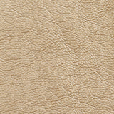Charlotte - 7424 - Gold - Fabric by the Yard