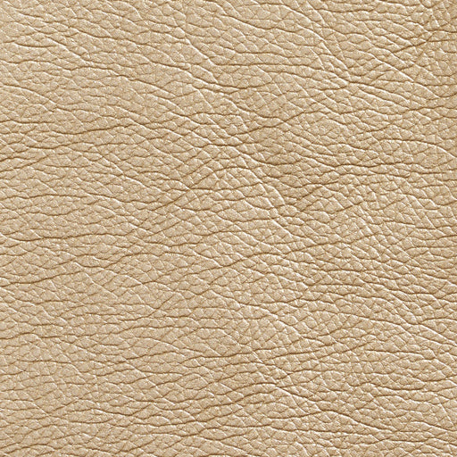 Charlotte - 7424 - Gold - Fabric by the Yard Gold