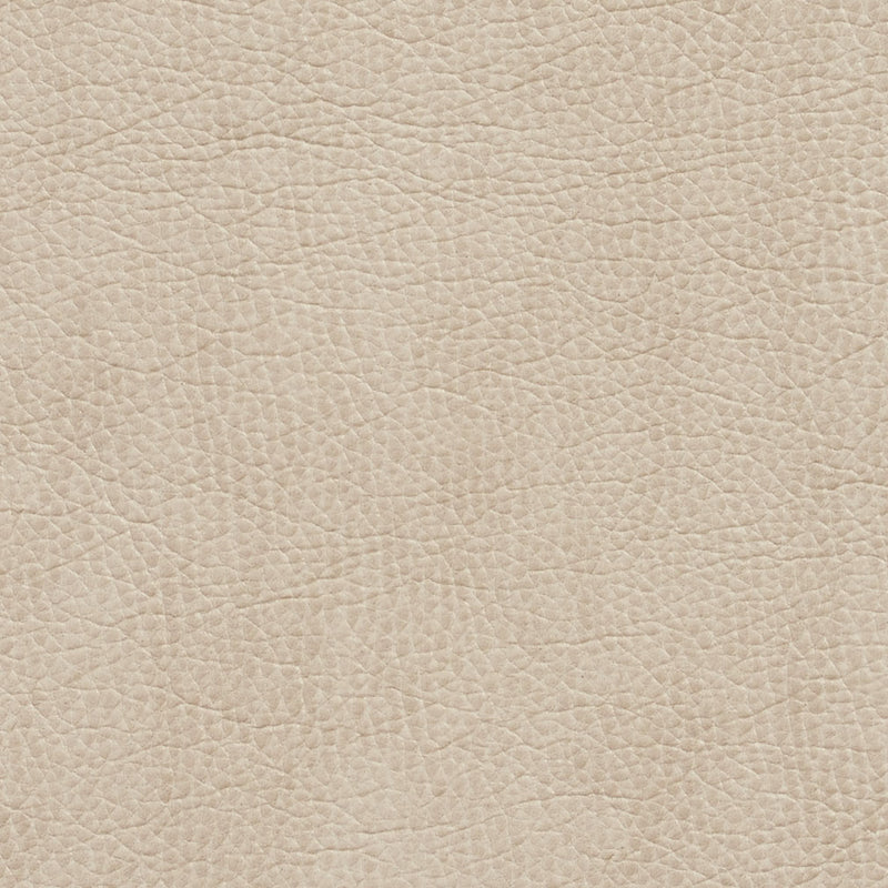 Charlotte - 7426 - Bone - Fabric by the Yard Bone