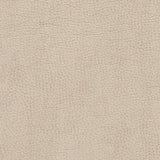 Charlotte - 7426 - Bone - Fabric by the Yard