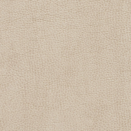 Charlotte - 7426 - Bone - Fabric by the Yard Bone