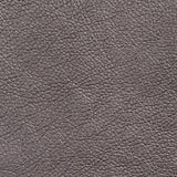 Charlotte - 7428 - Pewter - Fabric by the Yard