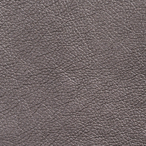 Charlotte - 7428 - Pewter - Fabric by the Yard Pewter