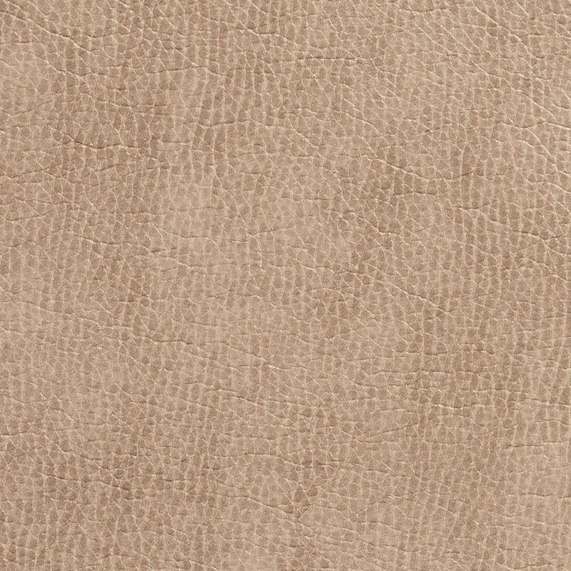 Charlotte - 7432 - Birch - Fabric by the Yard Birch