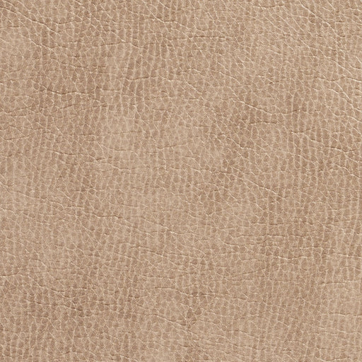 Charlotte - 7432 - Birch - Fabric by the Yard Birch
