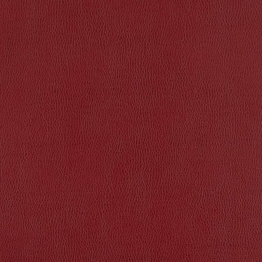Charlotte - 7435 - Cherry - Fabric by the Yard Cherry