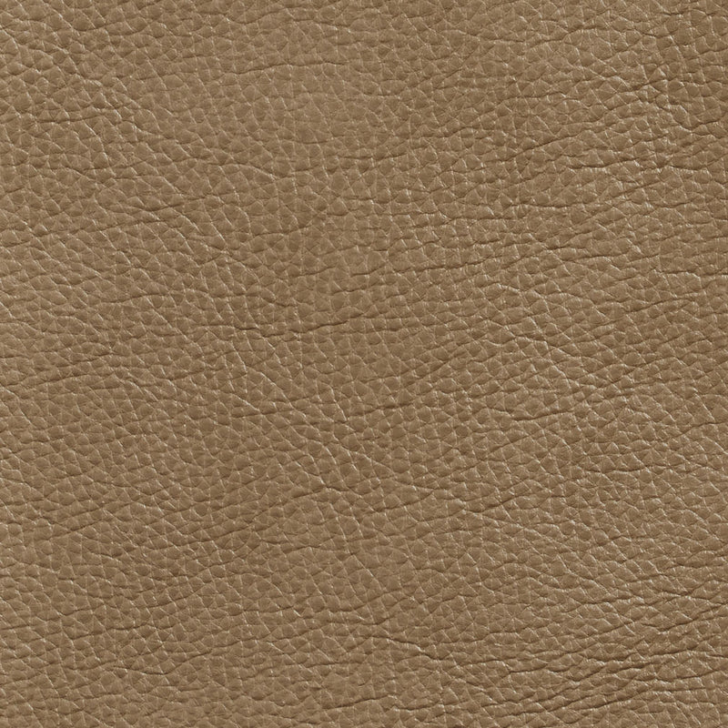 Charlotte - 7437 - Dune - Fabric by the Yard Dune