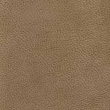 Charlotte - 7437 - Dune - Fabric by the Yard