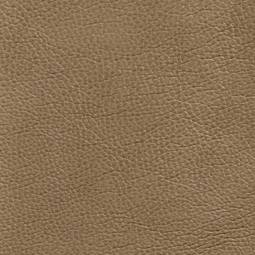 Charlotte - 7437 - Dune - Fabric by the Yard Dune