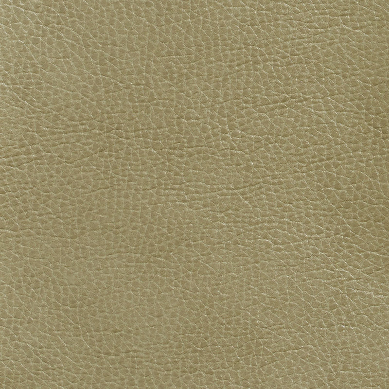 Charlotte - 7439 - Moss - Fabric by the Yard Moss
