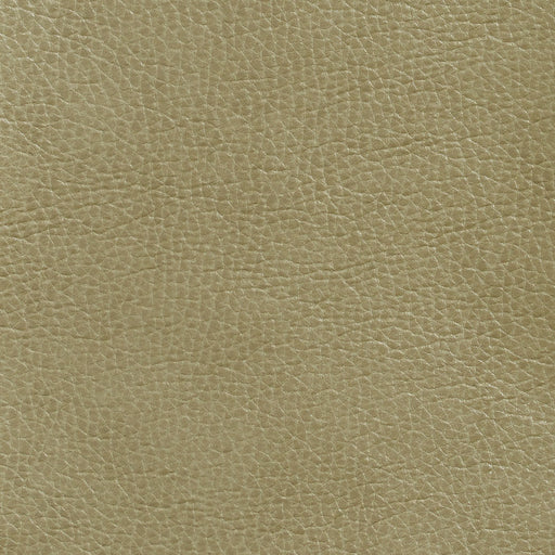 Charlotte - 7439 - Moss - Fabric by the Yard Moss