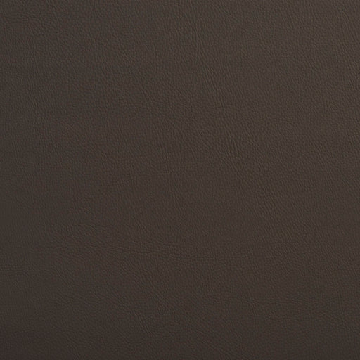 Charlotte - 7442 - Stone - Fabric by the Yard Stone