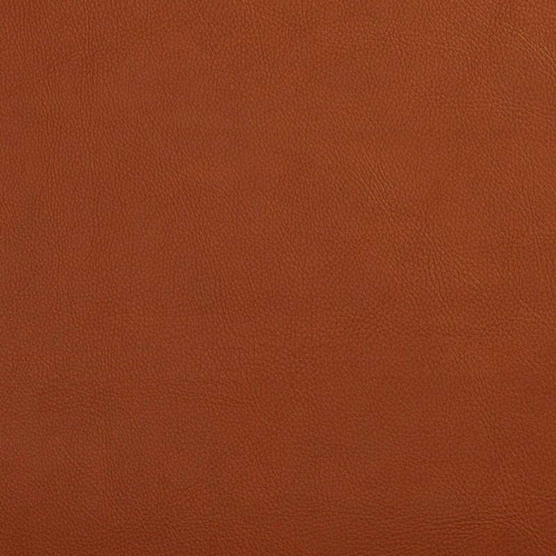 Charlotte - 7443 - Palomino - Fabric by the Yard Palomino