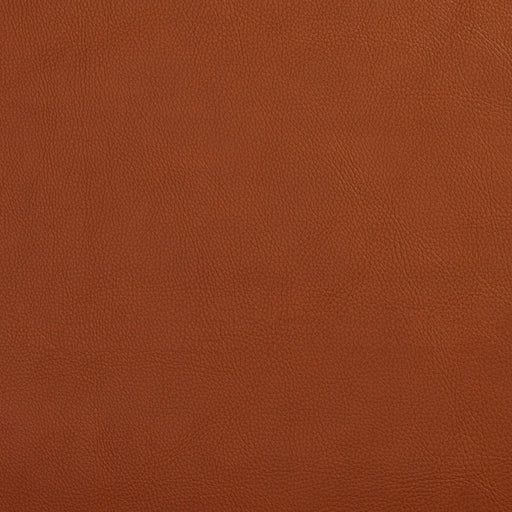Charlotte - 7443 - Palomino - Fabric by the Yard Palomino