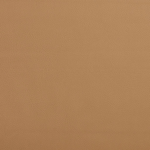 Charlotte - 7444 - Sand - Fabric by the Yard Sand