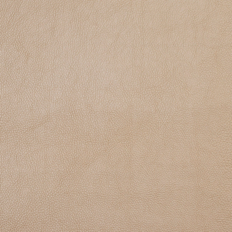 Charlotte - 7447 - Flax - Fabric by the Yard Flax
