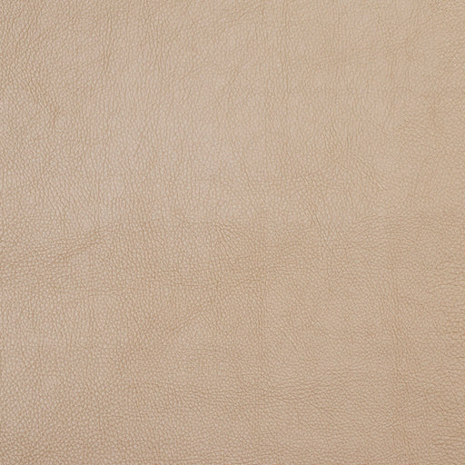 Charlotte - 7447 - Flax - Fabric by the Yard Flax