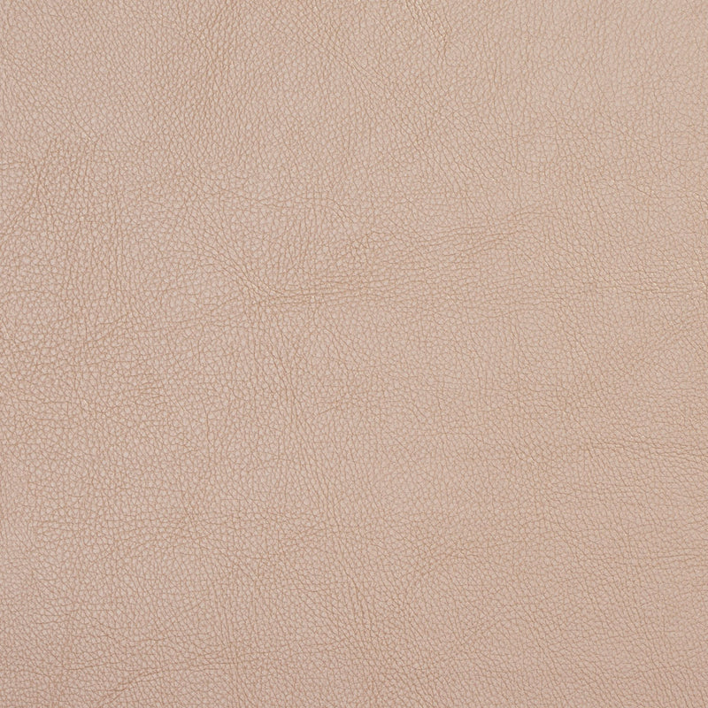 Charlotte - 7451 - Champagne - Fabric by the Yard Champagne