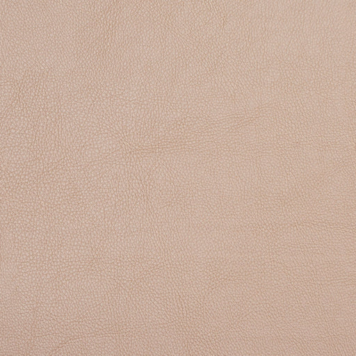 Charlotte - 7451 - Champagne - Fabric by the Yard Champagne