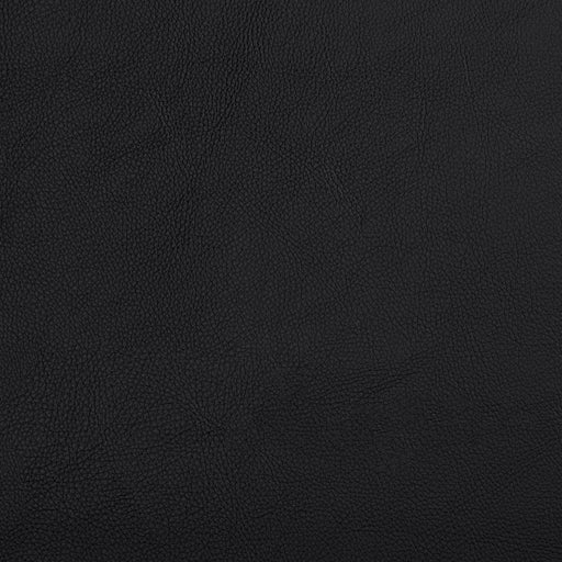 Charlotte - 7459 - Black - Fabric by the Yard Black