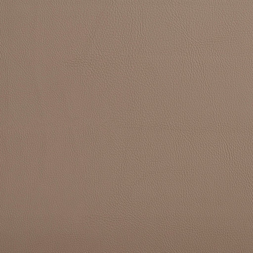 Charlotte - 7460 - Taupe - Fabric by the Yard Taupe