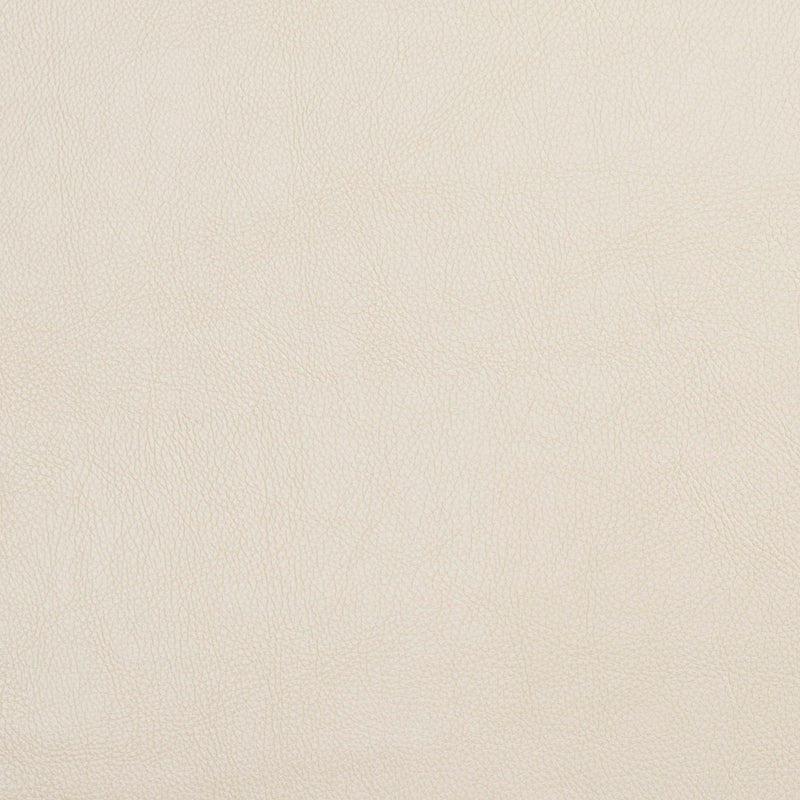 Charlotte - 7461 - Cream - Fabric by the Yard Cream