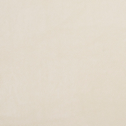 Charlotte - 7461 - Cream - Fabric by the Yard Cream