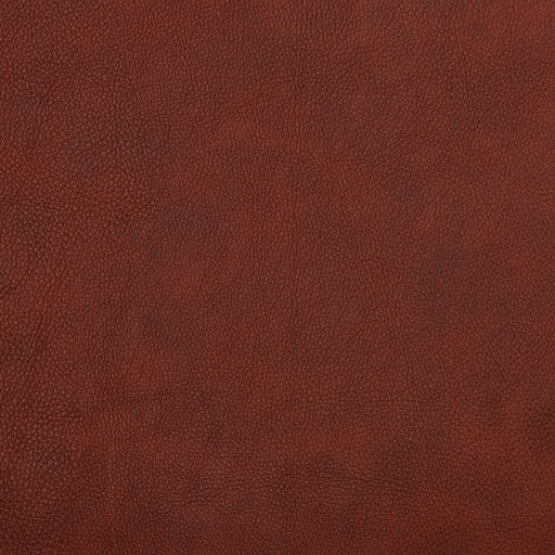 Charlotte - 7462 - Sable - Fabric by the Yard Sable