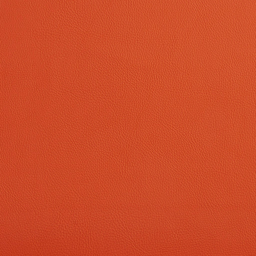 Charlotte - 7464 - Spice - Fabric by the Yard Spice