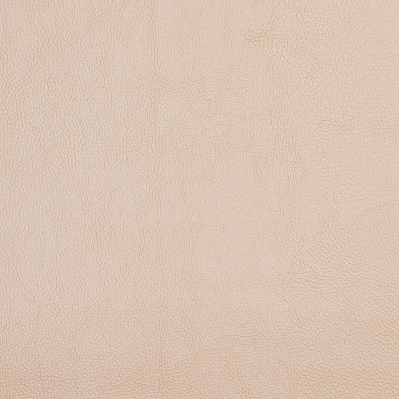 Charlotte - 7467 - Cornsilk - Fabric by the Yard Cornsilk
