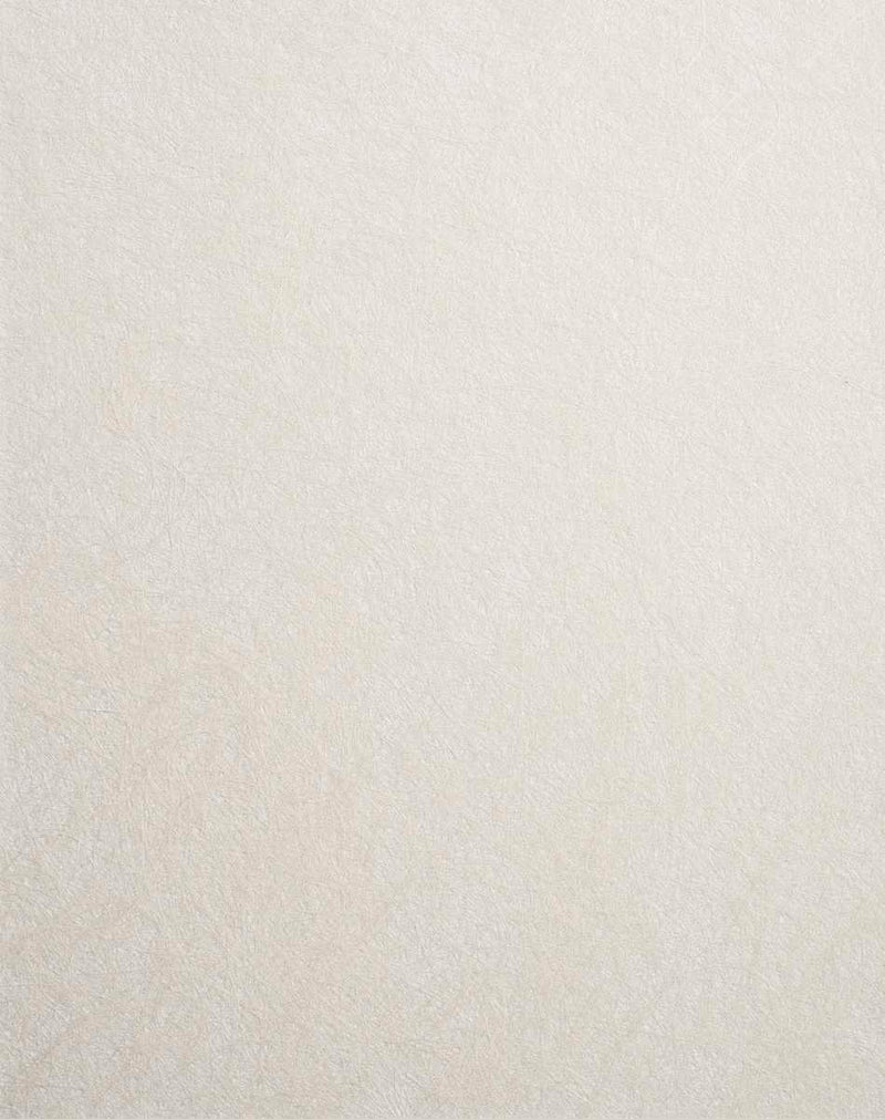 FTS-02746 - Wallcovering By The Yard - Samples Available by Request - Fabrics and Drapes