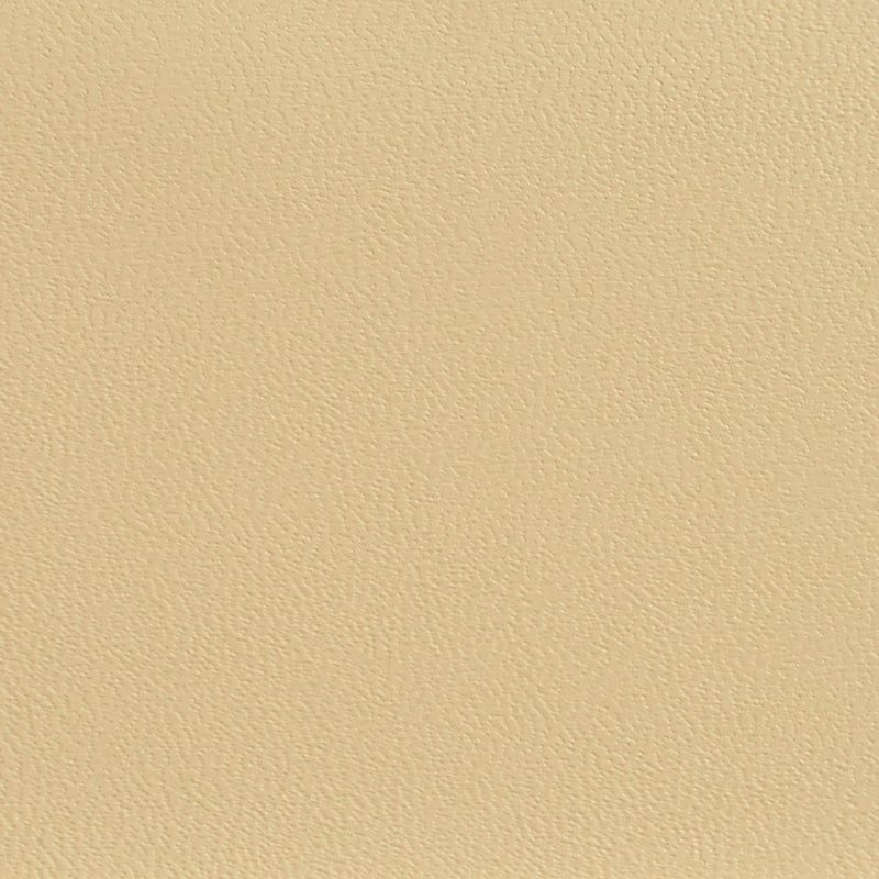 Charlotte - 7594 - Ecru - Fabric by the Yard Ecru