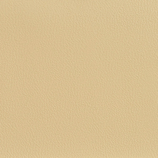 Charlotte - 7594 - Ecru - Fabric by the Yard Ecru