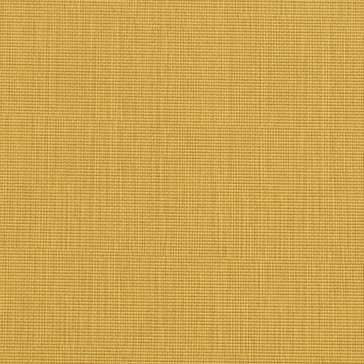Charlotte - 7601 - Harvest - Fabric by the Yard Harvest
