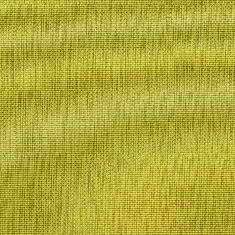 Charlotte - 7603 - Citrus - Fabric by the Yard Citrus