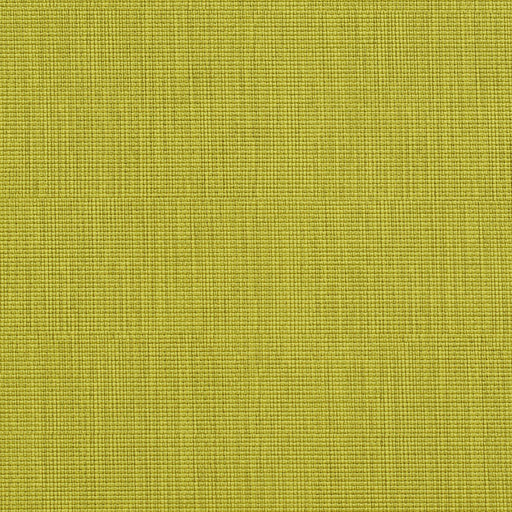 Charlotte - 7603 - Citrus - Fabric by the Yard Citrus