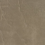 Charlotte - 7620 - Taupe - Fabric by the Yard