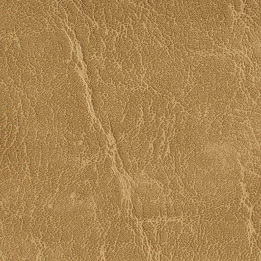 Charlotte - 7621 - Dune - Fabric by the Yard Dune