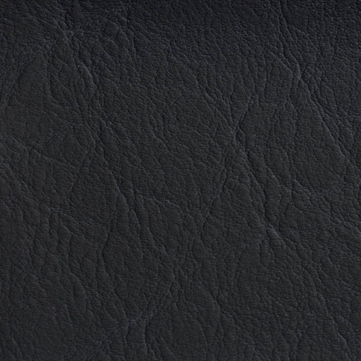 Charlotte - 7622 - Carbon - Fabric by the Yard Carbon