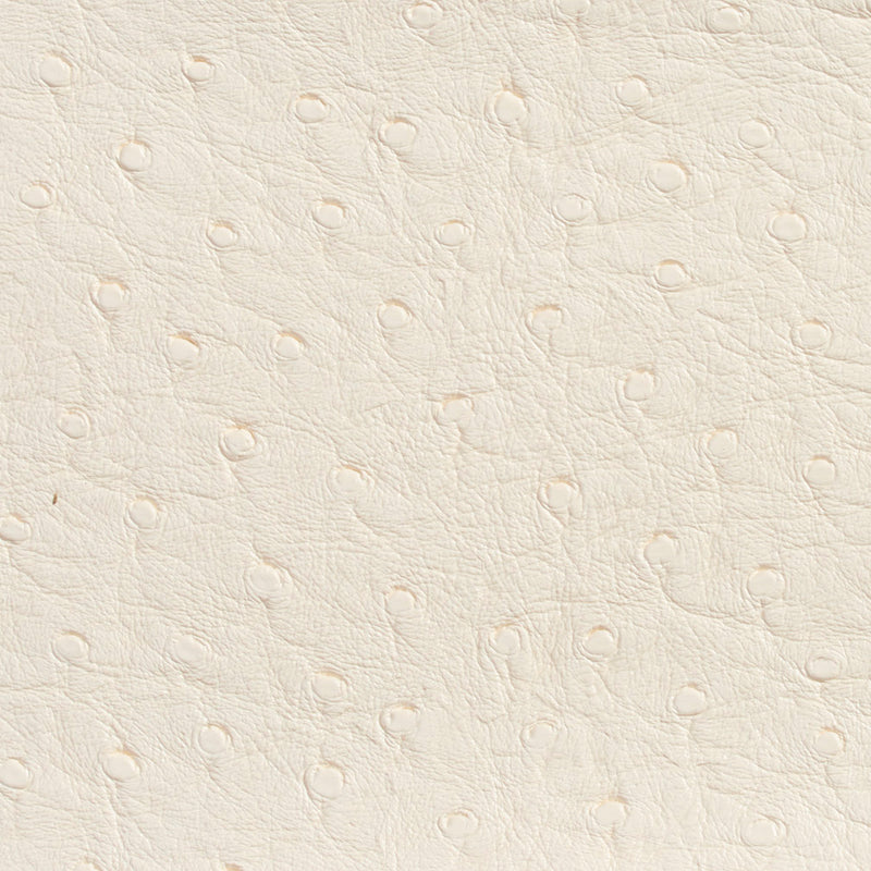 Charlotte - 7704 - Eggshell - Fabric by the Yard Eggshell