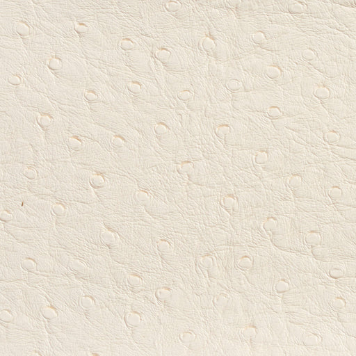 Charlotte - 7704 - Eggshell - Fabric by the Yard Eggshell