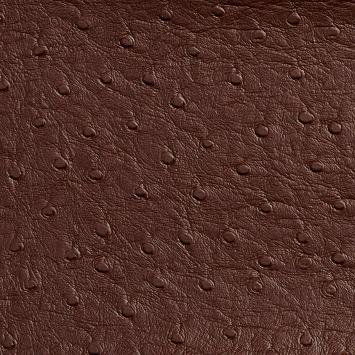 Charlotte - 7706 - Espresso - Fabric by the Yard Espresso