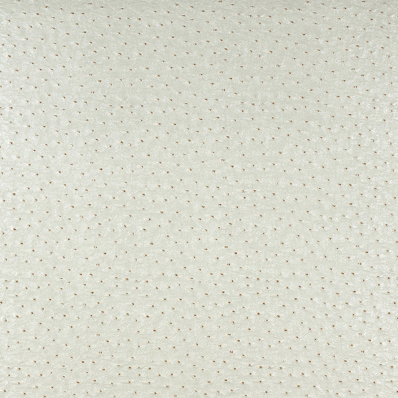 Charlotte - 7859 - Cream - Fabric by the Yard Cream