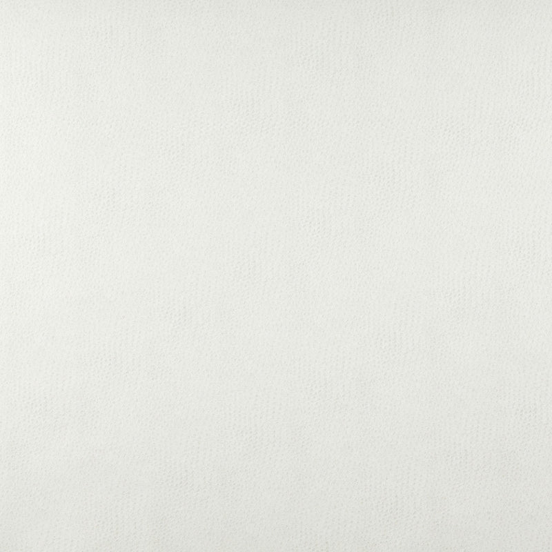 Charlotte - 7876 - Natural - Fabric by the Yard Natural
