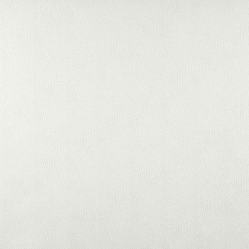 Charlotte - 7876 - Natural - Fabric by the Yard Natural