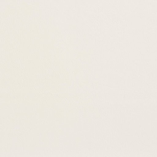 Charlotte - 7925 - White - Fabric by the Yard White