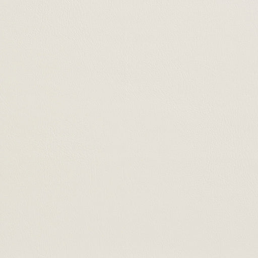Charlotte - 7929 - Natural - Fabric by the Yard Natural
