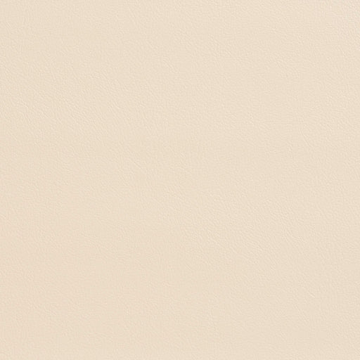 Charlotte - 7935 - Whitecap - Fabric by the Yard Whitecap