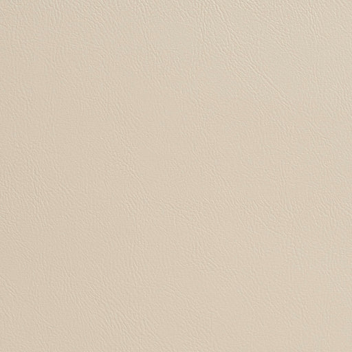 Charlotte - 7945 - Off White - Fabric by the Yard Off White