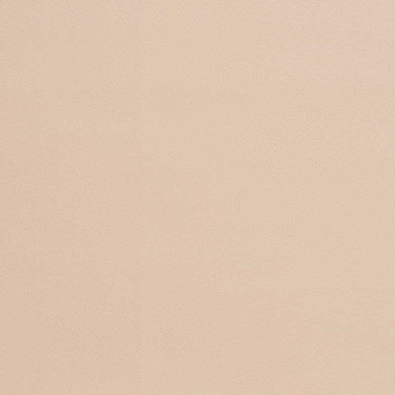 Charlotte - 7947 - Parchment - Fabric by the Yard Parchment